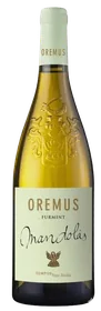 Mandolás · Tokaj